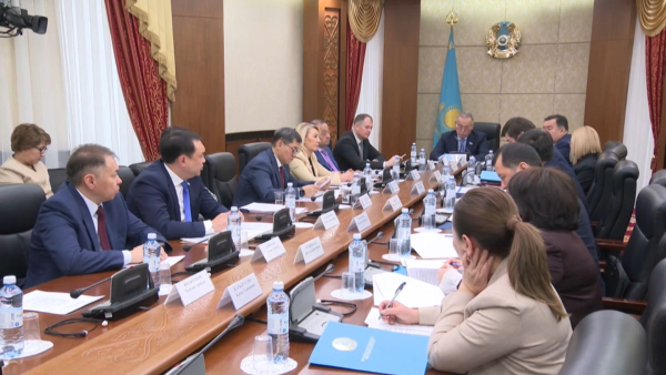 Сенатта мемлекеттік аудитті жетілдіру мәселелері талқыланды