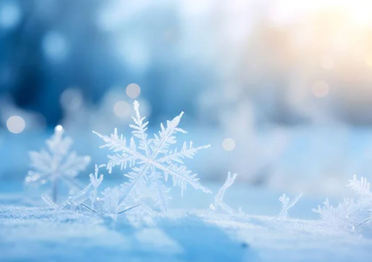 Школьников второй смены перевели на удаленку в Астане