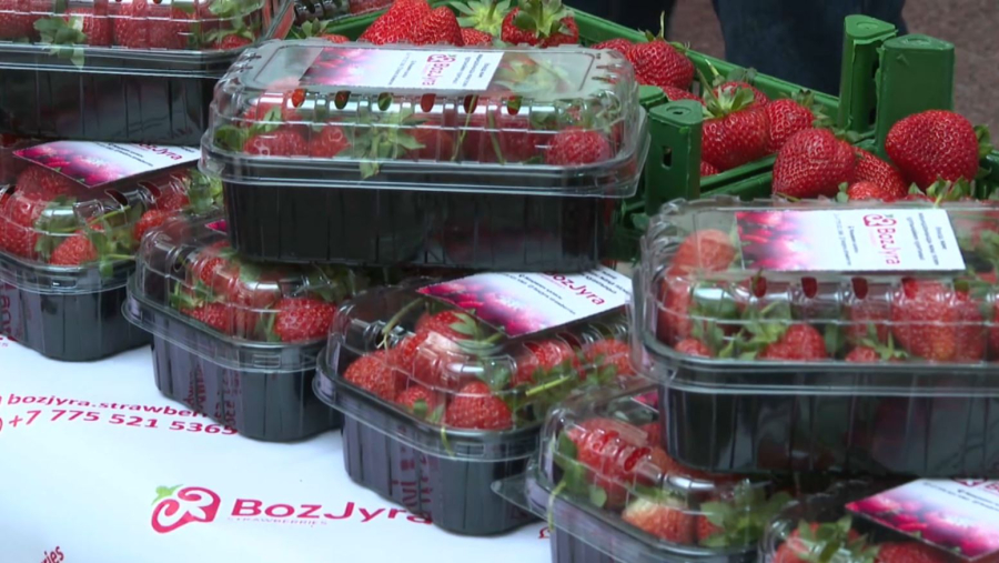 Жаңаөзендіктер кәсіптің жаңа түрлеріне ден қоя бастады