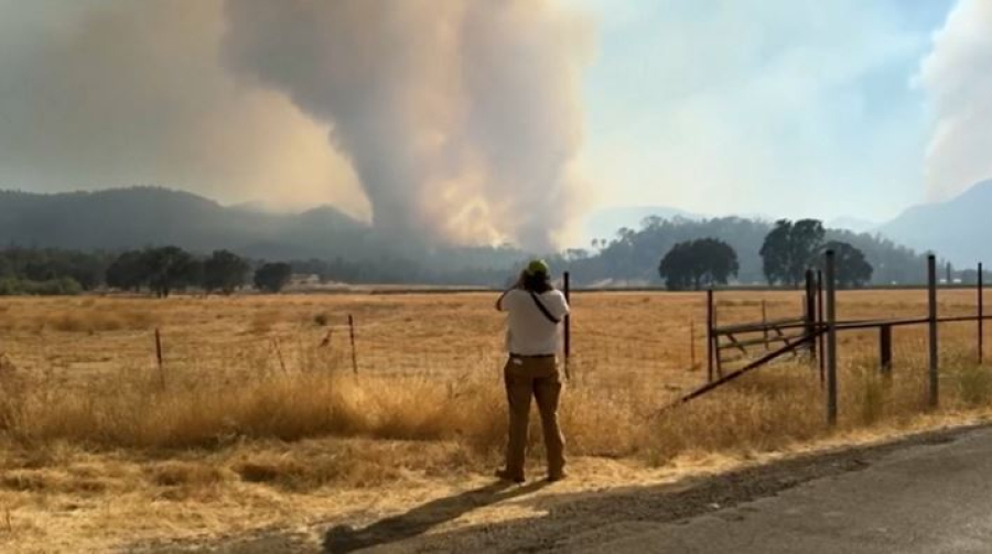 Лесной пожар вспыхнул на севере Калифорнии