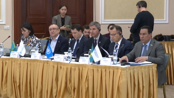 ФАО ұйымы ауыл шаруашылығын дамытуға көмектеседі