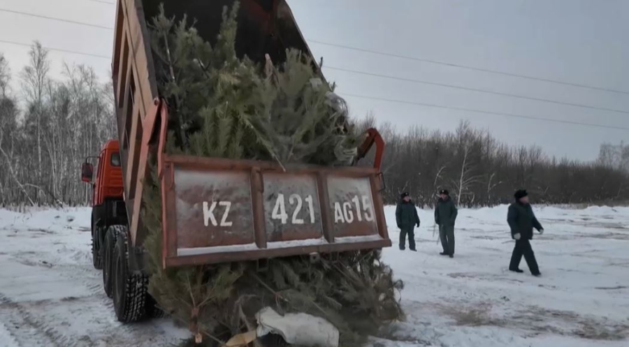 Почти 1300 нарушений правил благоустройства выявили в Петропавловске