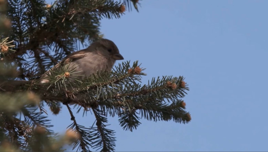 28 ақпанға арналған ауа райы болжамы