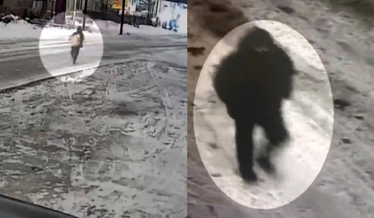 Кражу в крупном размере раскрыла полиция в Караганде