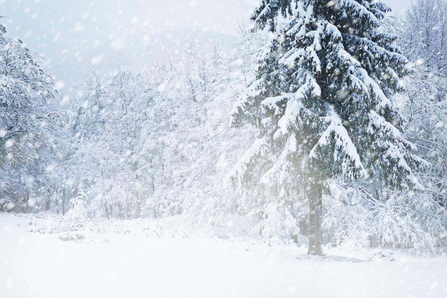 Снег и метель: прогноз погоды в Казахстане