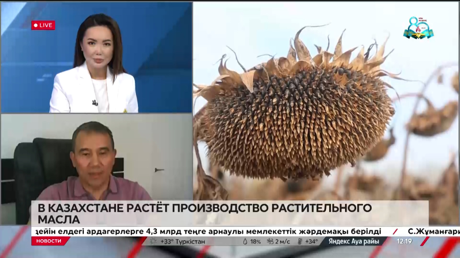 В Казахстане растёт производство растительного масла. Фарид Абитаев