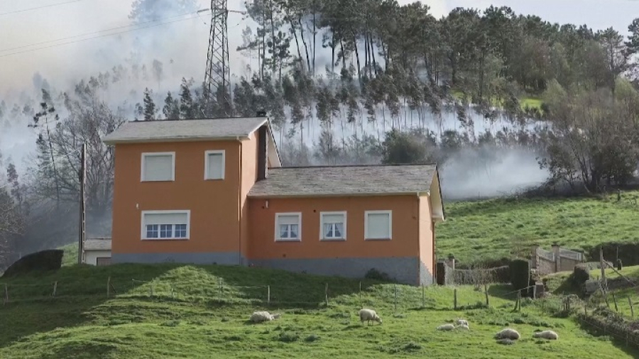 Торонто қаласы орман өртінен «тұншықты»