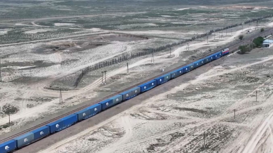 Көлік ғылымдары мен технологияларының институты құрылады