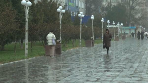 Дожди прогнозируют на юге и западе Казахстана