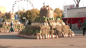 Ярмарка с участием таджикских аграриев прошла в Кокшетау