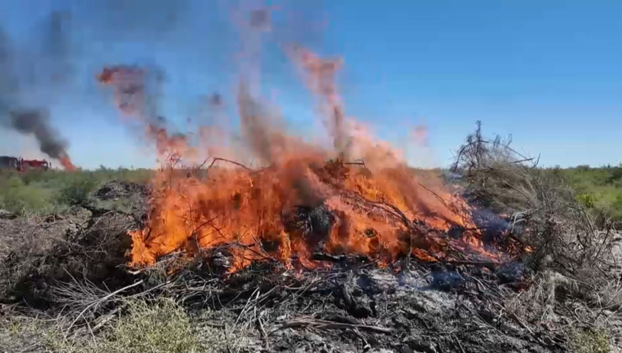 Қызылорда облысында дала және орман өрті жиіледі