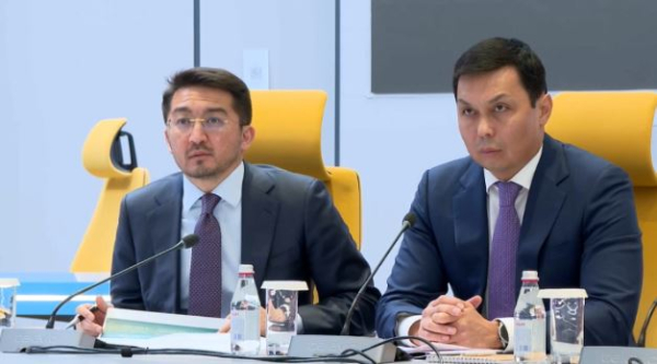 Пилотный проект «Цифровой НДС» запустили в Казахстане