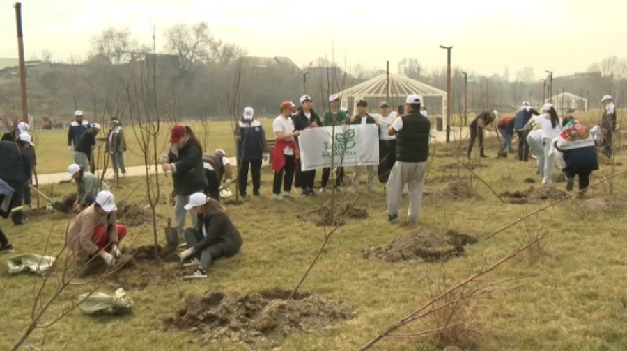 В Алматы собрали 8000 кубометров мусора и посадили 10 тысяч деревьев