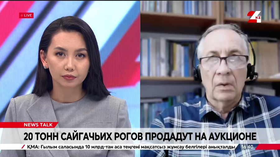 20 тонн сайгачьих рогов продадут на аукционе. Сергей Скляренко