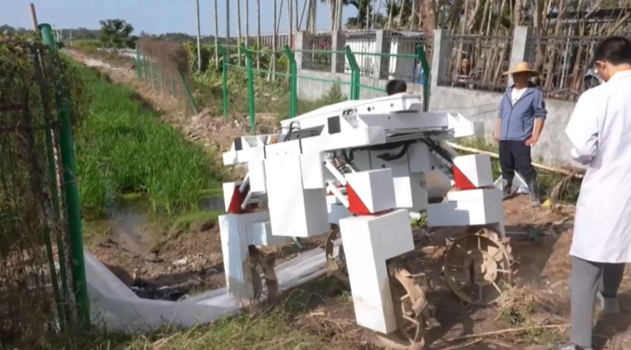 Қытайда сұрыптау ісіне жи қолданылады