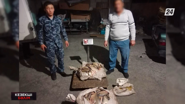 Жетісу облысында заңсыз балық аулаған браконьер ұсталды | Кезекші бөлім