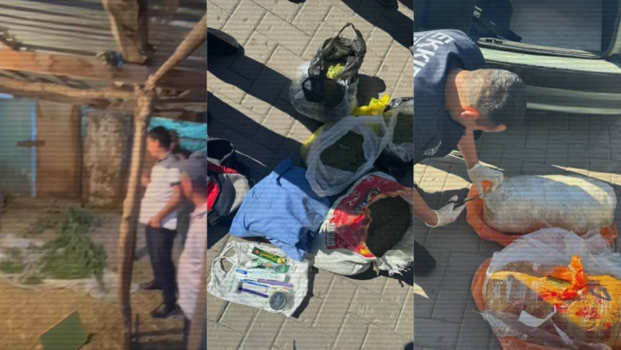 С начала года изъято более 11 тонн наркотиков