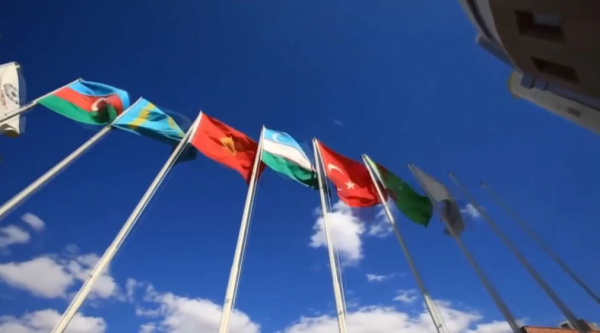 Турция выразила готовность оказать помощь Казахстану