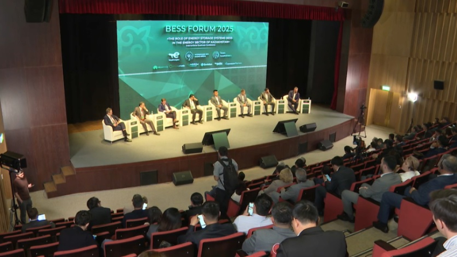 В Казахстане презентовали первую Белую книгу по накопителям энергии BESS