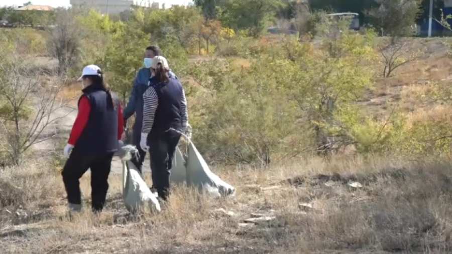 7 тысяч жителей Улытау приняли участие в экоакции