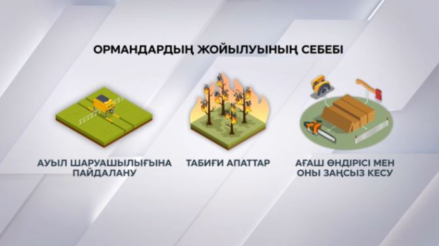 Әлемдегі орман қоры