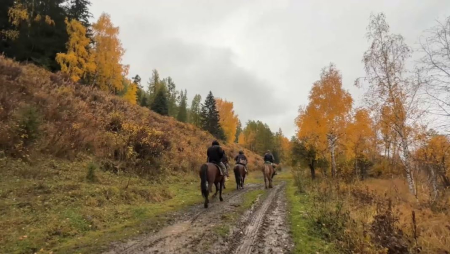 ШҚО-да Ұранқайға апаратын 60 шақырым жол жөнделмей тұр