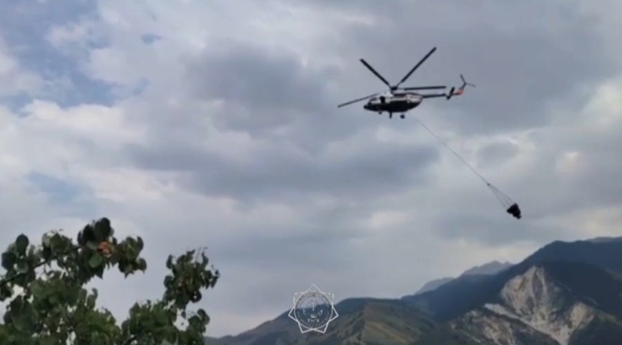 Алматы облысындағы дала өрті сөндірілді