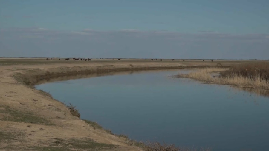 Водохранилище построят в селе Жалпактал ЗКО