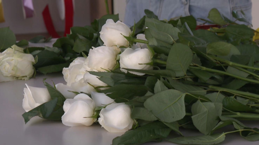 Шымкентте қала күніне орай бірқатар әлеуметтік нысан қолданысқа берілді