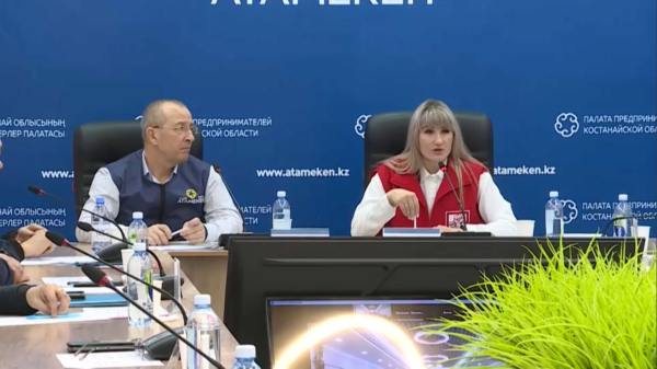 Қостанайлық кәсіпкерлер бөлшек салықты азайтуды сұрайды