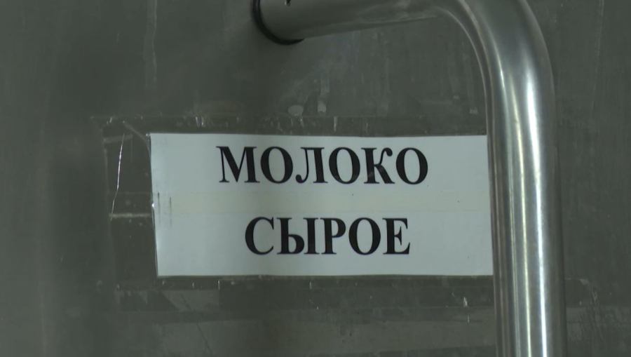 Сөредегінің бәрі сүт емес