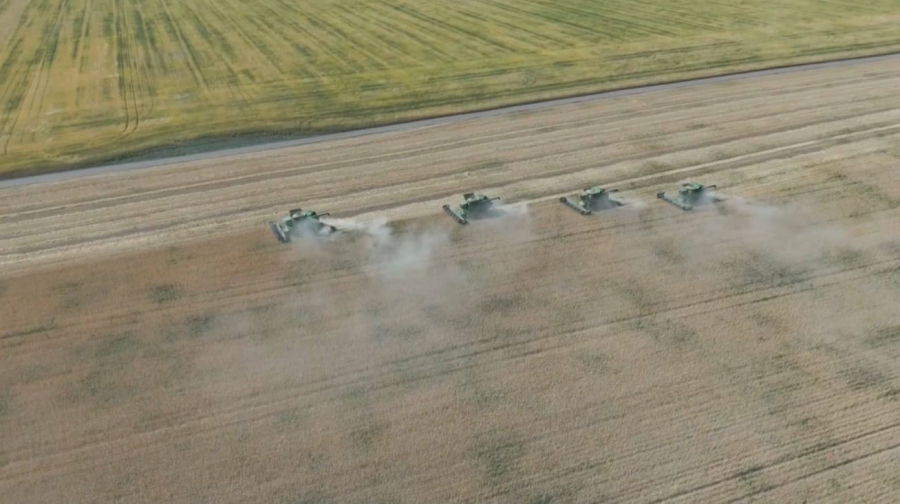 2,5 млн тонн зерна собрали аграрии Акмолинской области