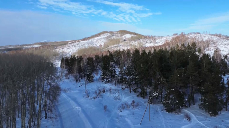 ШҚО-да орманды заңсыз кесудің алдын алу шаралары күшейтілді