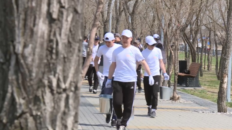 На аллее «Алаш» в Караганде волонтеры высадили 200 саженцев