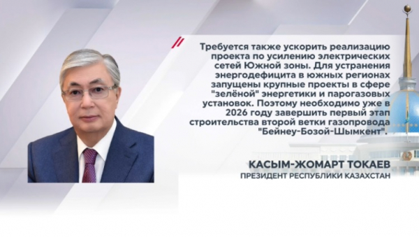 Токаев поручил обеспечить страну электроэнергией в полном объеме