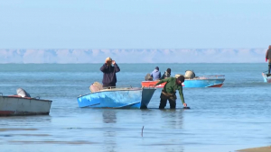 План подачи воды в Аральское море выполнен почти на 100%