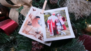 Дед Мороз встречает гостей в своей резиденции в Павлодаре