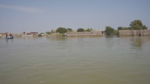 Пәкістанда су тасқынынан 25 адам қаза тапты