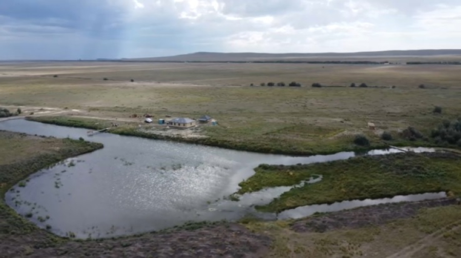 В Абайской области успешно развивают рыбоводство