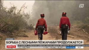 Больше 200 лесных пожаров продолжают бушевать в Канаде