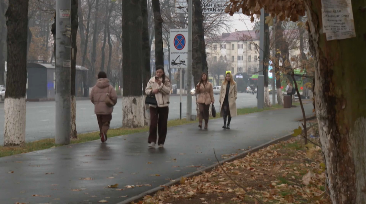 На 26% выросло число случаев интернет-мошенничества