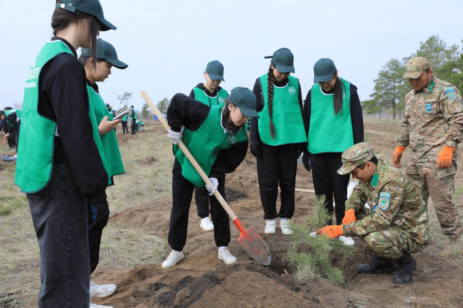 850 саженцев высадят школьники в Актюбинской области