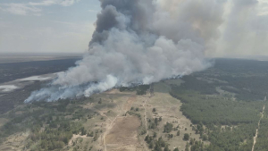 Пожарные вторые сутки борются с лесным пожаром в области Абай