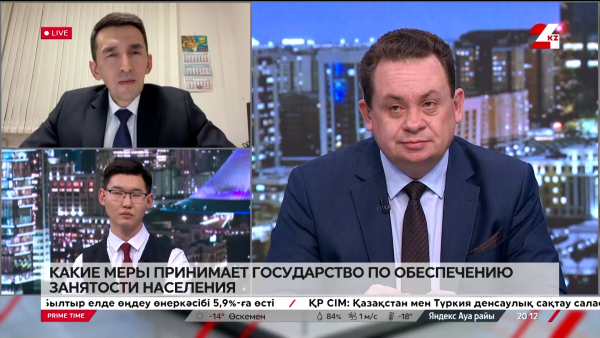 Какие меры принимает государство по обеспечению занятости населения. Азиз Ибрагимов