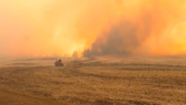 Чилидегі орманда алапат өрт басталды