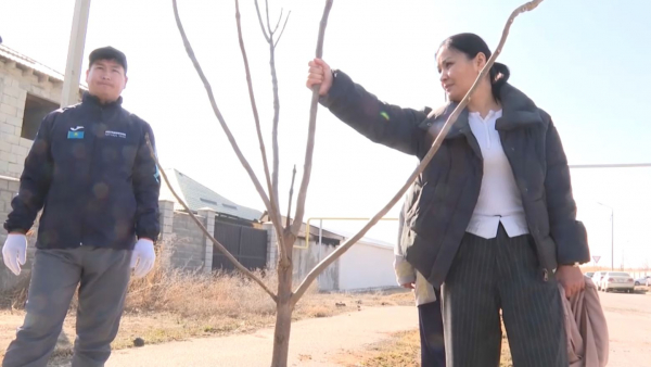 Қонаев қаласында экологиялық акция ұйымдастырылды