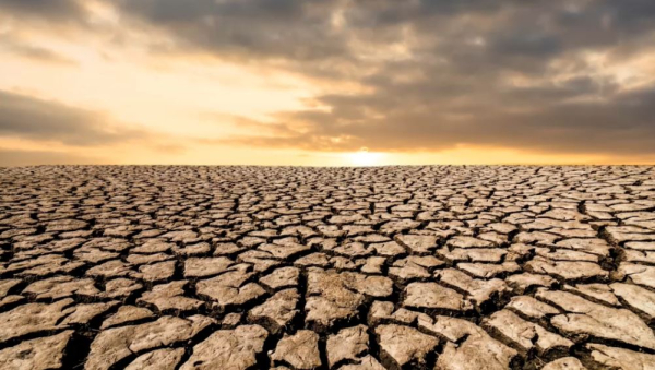 Что представят на выставке RES EXPO 2026