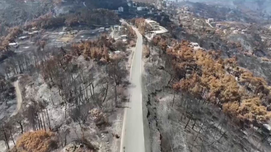 Пожары в Сирии: сгорело больше 15 тысяч га леса