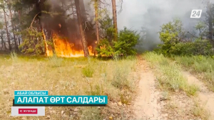 Алапат өрт салдары | Іс жүзінде