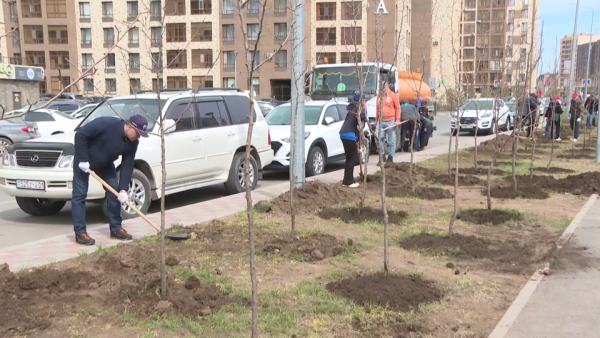 Больше 5 тысяч экомероприятий провели в Казахстане